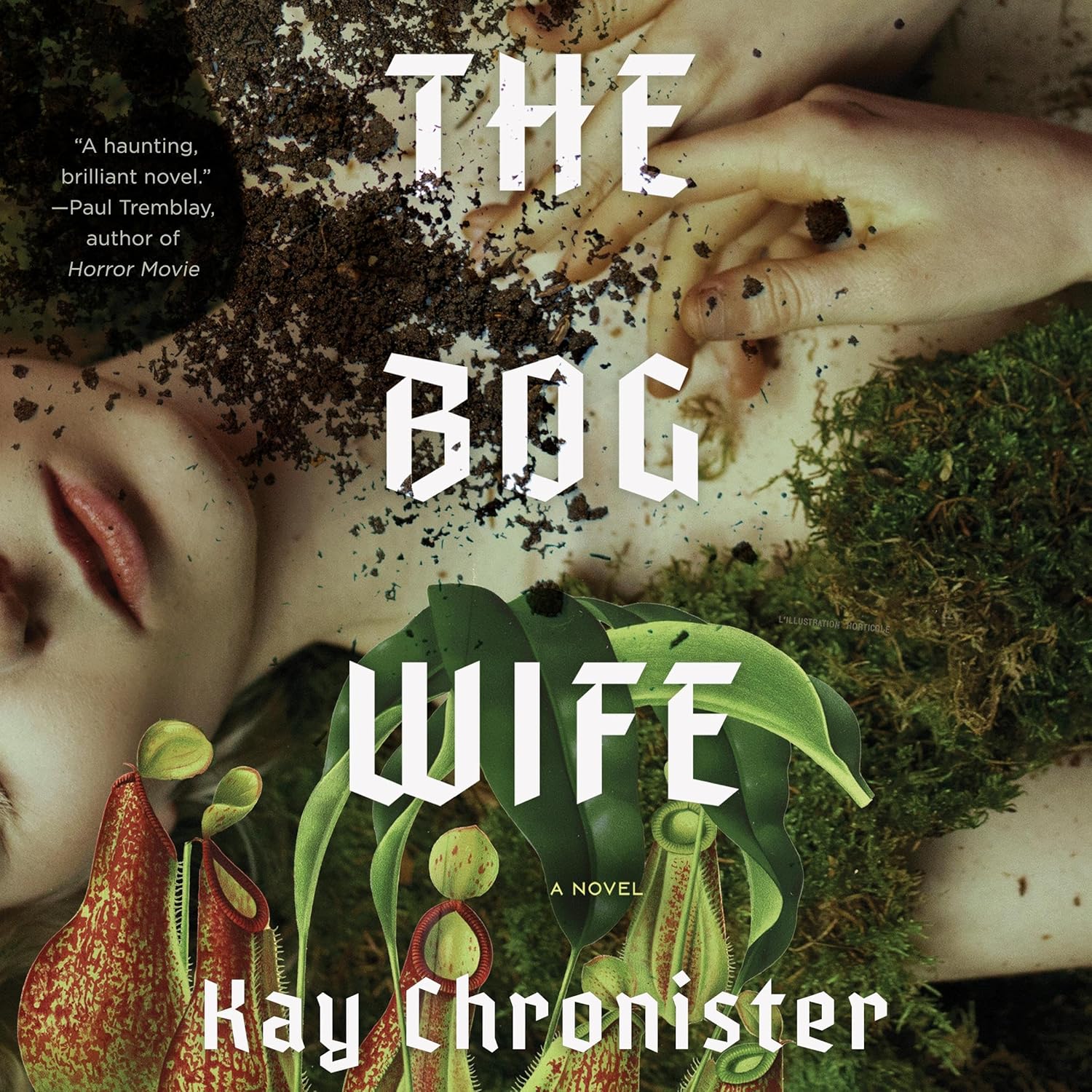 The Bog Wife Sounds Appropriately Haunted and a Little Feral